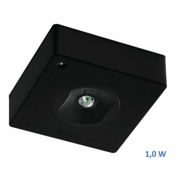 CELO CS VA-1 C Cinema